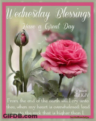 Wednesday Blessings From The End Of The Earth GIF