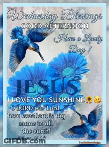 Wednesday Blessings Good Afternoon GIF