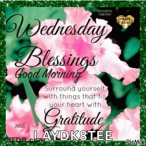 Wednesday Blessings Good Morning Surround Yourself With Gratitude GIF