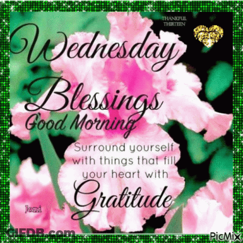 Wednesday Blessings Good Morning Surround Yourself With Things That Fill Your Heart With Gratitude GIF