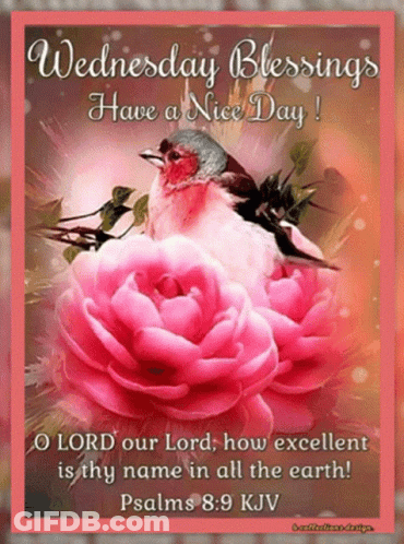 Wednesday Blessings Have A Nice Day ! O Lord Our Lord How Excellent Is Thy Name In All The Earth GIF