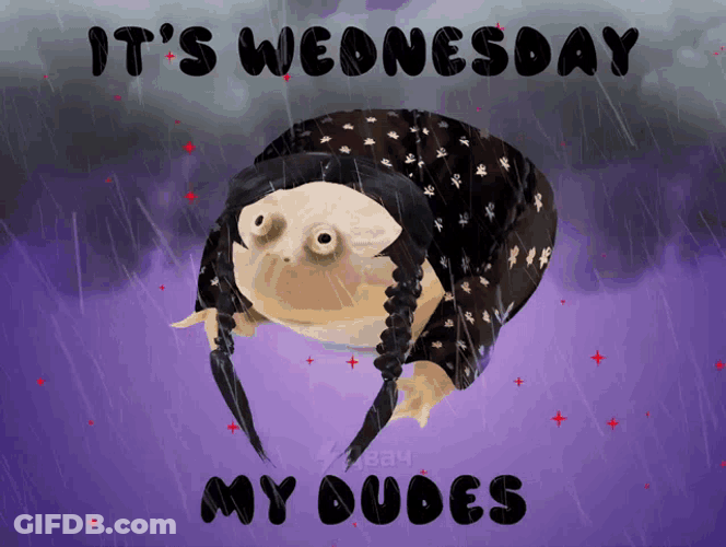 Wednesday Dudes GIF