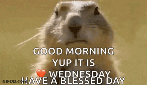 Wednesday Good Morning GIF