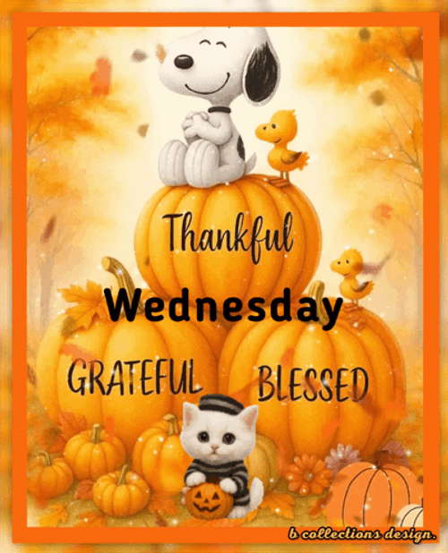 Wednesday Good Morning Wednesday GIF