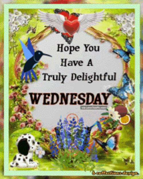 Wednesday Good Morning Wednesday GIF