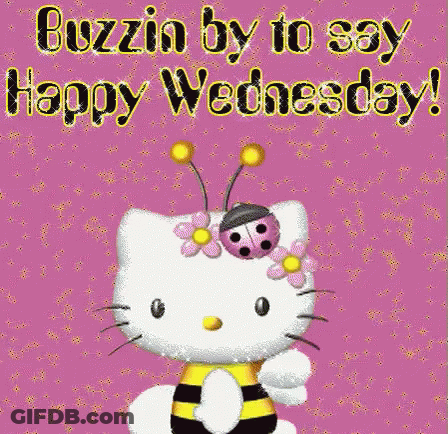 Wednesday Happy GIF