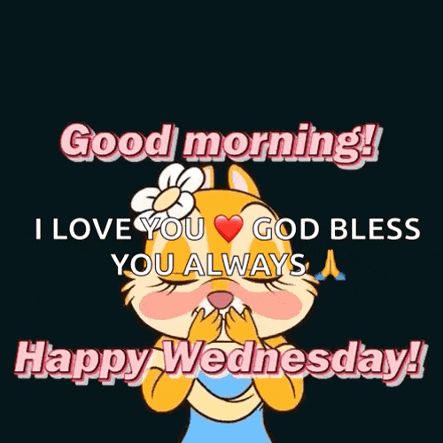 Wednesday Happywednesday GIF