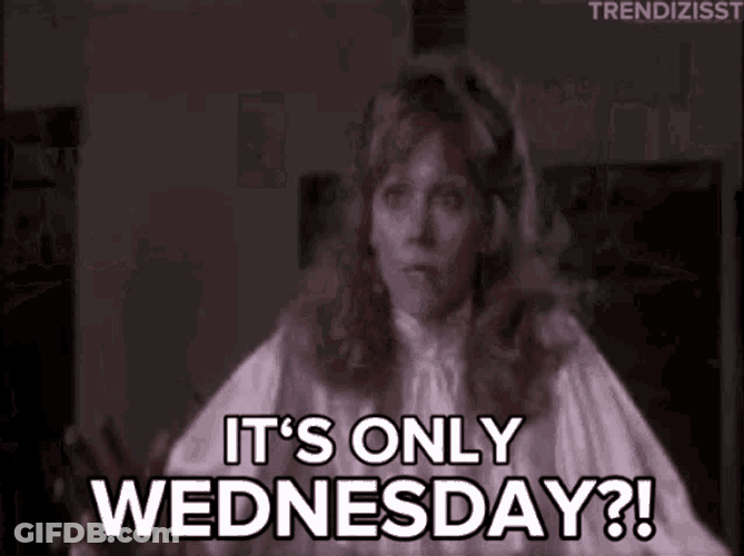 Wednesday Hump Day GIF