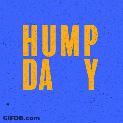 Wednesday Hump Day Morning Funny GIF