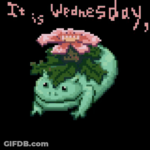 Wednesday Itsd Wednesday My Dudes GIF