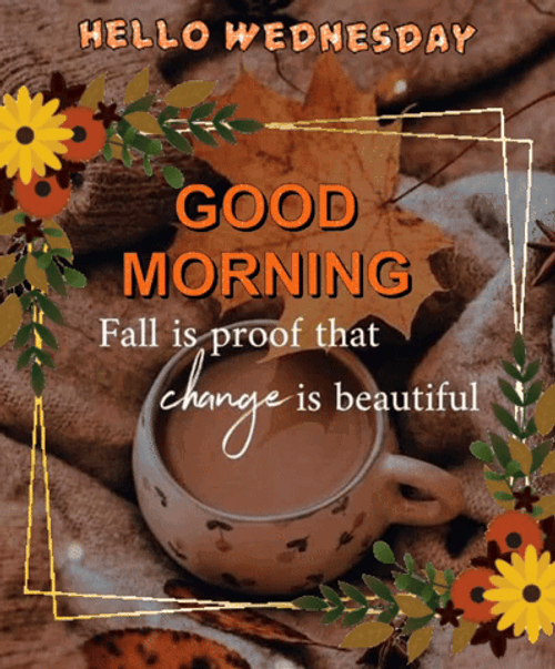 Wednesday Morning Fall GIF