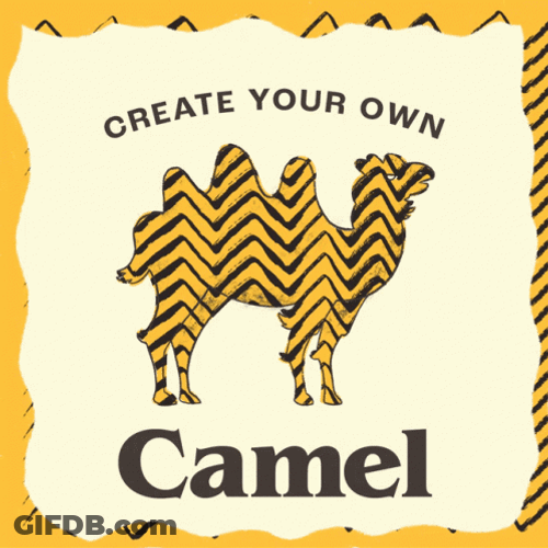 Wednesday Morning Funny Camel Cigarettes Logo GIF