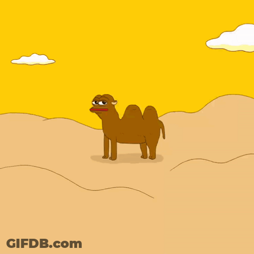 Wednesday Morning Funny Smilling Camel GIF