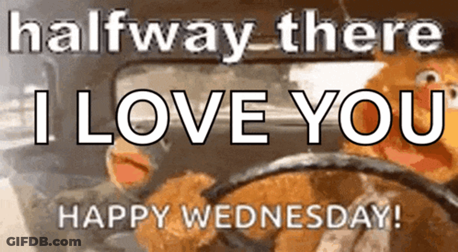 Wednesday Morning GIF