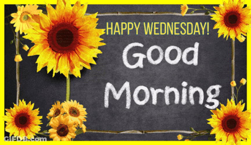 Wednesday Morning GIF