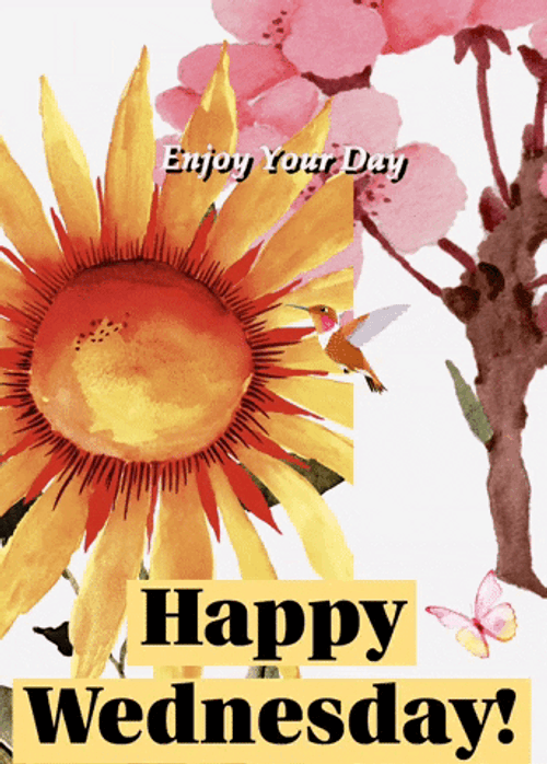 Wednesday Morning Sunflower GIF