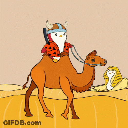 Wednesday Saudi Funny Morning Funny GIF