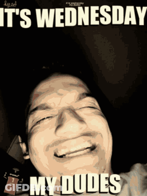 Wednesday Syed GIF