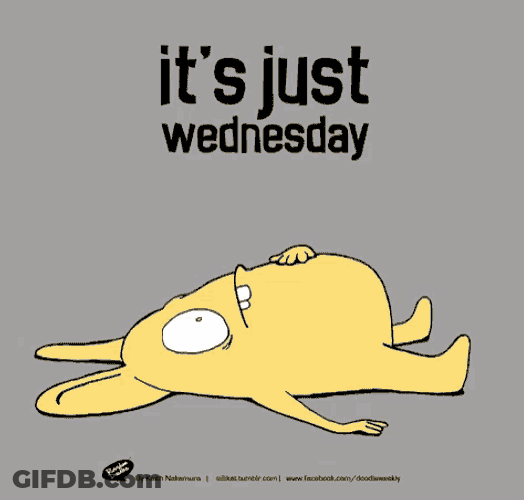 Wednesday Yay GIF