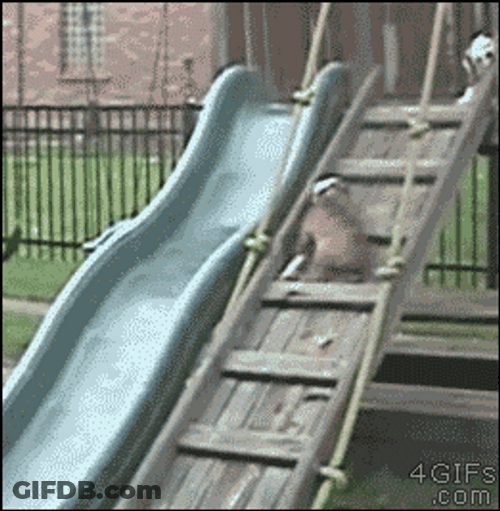 Weeee Dog Sliding Tumbling GIF