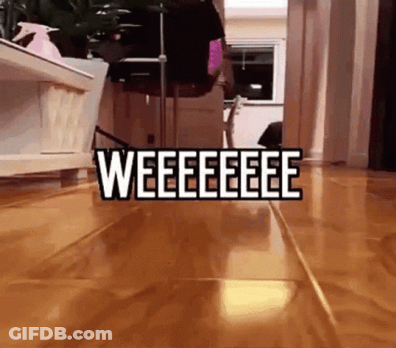 Weeee Fast Cat GIF