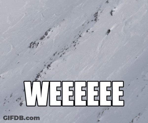 Weeee Skiing Snow GIF