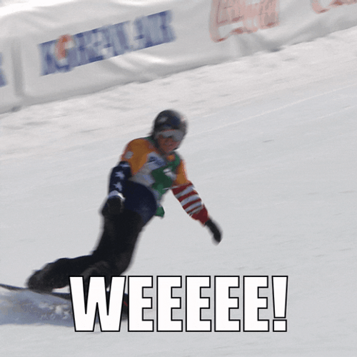 Weeee Snowboarding Sports GIF