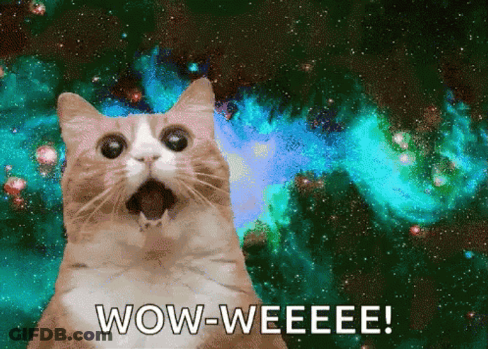 Weeee Wow Cat Galaxy GIF
