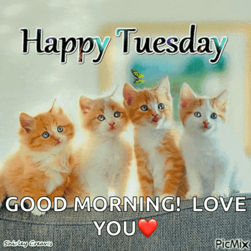 Week Day Meme GIF