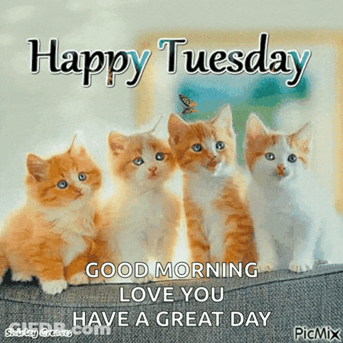 Week Day Meme GIF