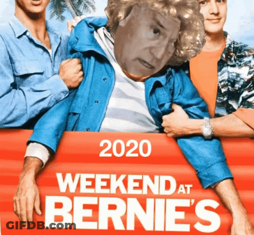 Weekend At Bernie's Poster Man In Wig GIF