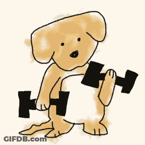 Weight Lifting Dog Puppy GIF