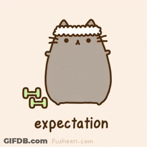 Weight Lifting Pusheen The Cat Expectation GIF