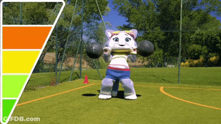 Weightlifting Moving Cat GIF