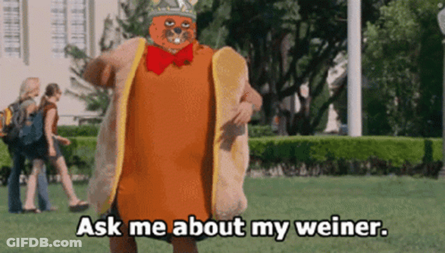 Weiner Dog Suit Beaver Face Swap GIF