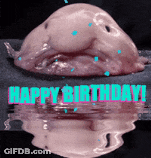 Weird Creature Making Birthday Greeting GIF