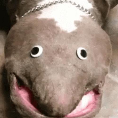Weird Googly Eye Creature GIF