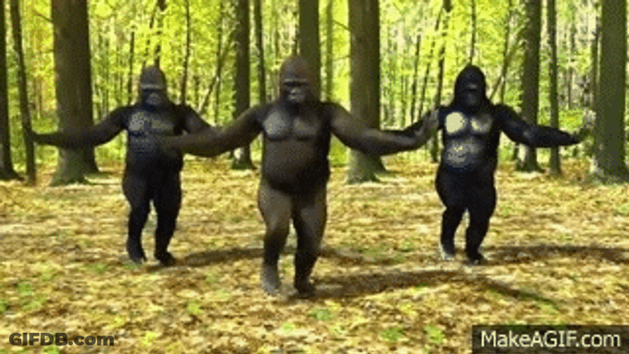 Weird Gorilla Dance GIF