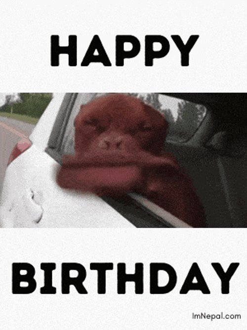 Weird Happy Birthday Big Mouth Dog GIF
