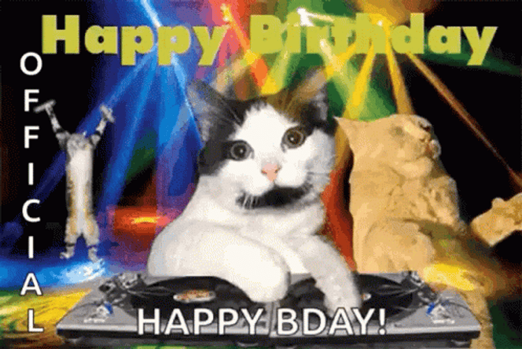 Weird Happy Birthday  To You Cat GIF