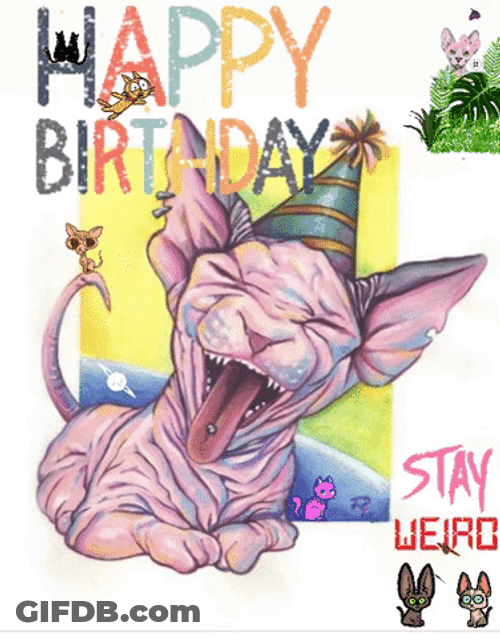 Weird Looking Cat Birthday Graphic Design GIF