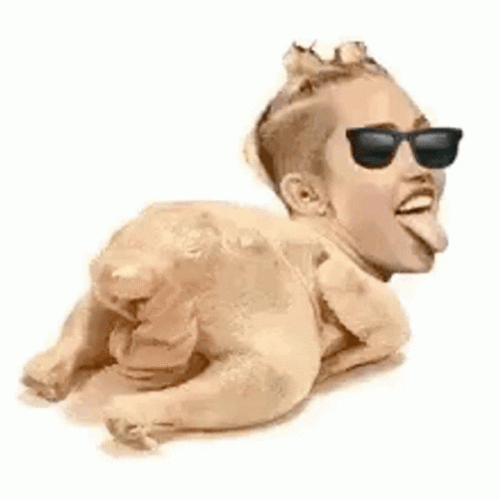 Weird Miley Cyrus Dancing Turkey GIF