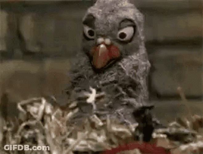 Weird Owl Puppet Using Binoculars GIF