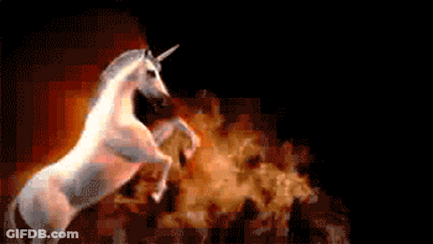 Weird Stallions Dancing On Birthday Song GIF