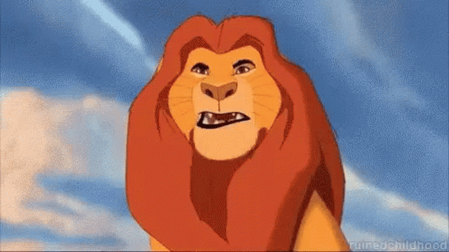 Weird Throwing Of Simba GIF