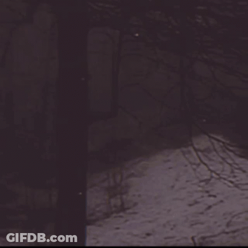 Weirdcore GIF