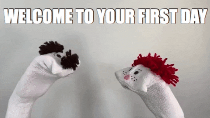 Welcome Aboard First Date Hand Puppets GIF