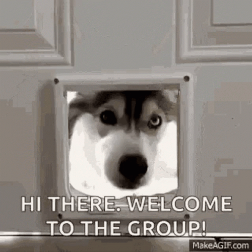 Welcome Aboard Husky Dog GIF