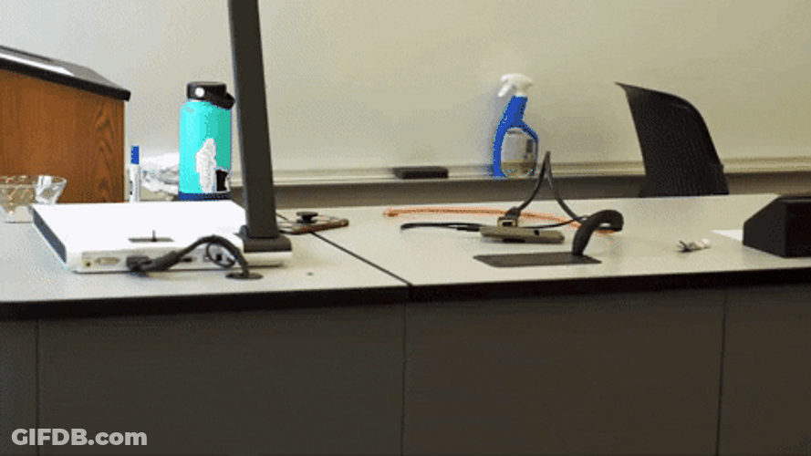Welcome August Welcome Surprise GIF
