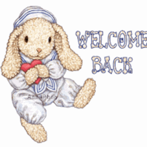 Welcome Back Bunny GIF